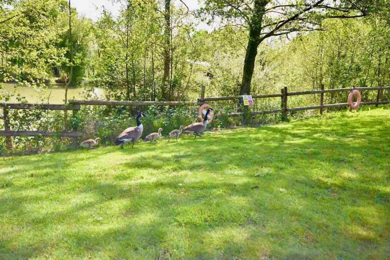 E7 Roebeck Country Park Villa Ryde  Eksteriør bilde